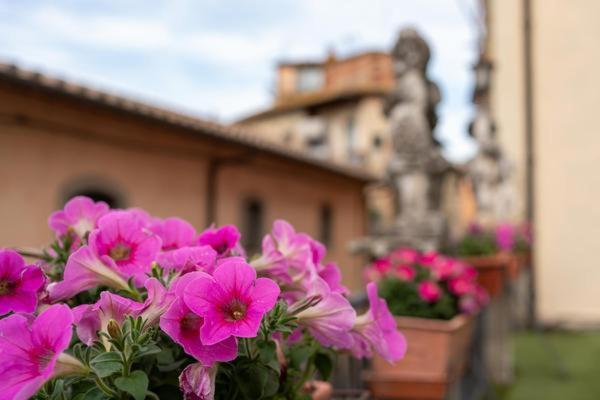 Апартаменты La Finestra Sul Borgo Dimora Storica Латерина Экстерьер фото